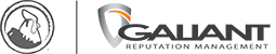 Reputation Managment :: Galiant Solutions